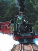 Melbourne Australia Puffin Billy Steam Train tour Melbourne Australia Puffin Billy Steam Train tour