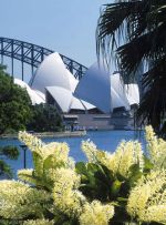 Sydney Opera Houes from the Botanic Gardens Australia Sydney Opera Houes from the Botanic Gardens Australia